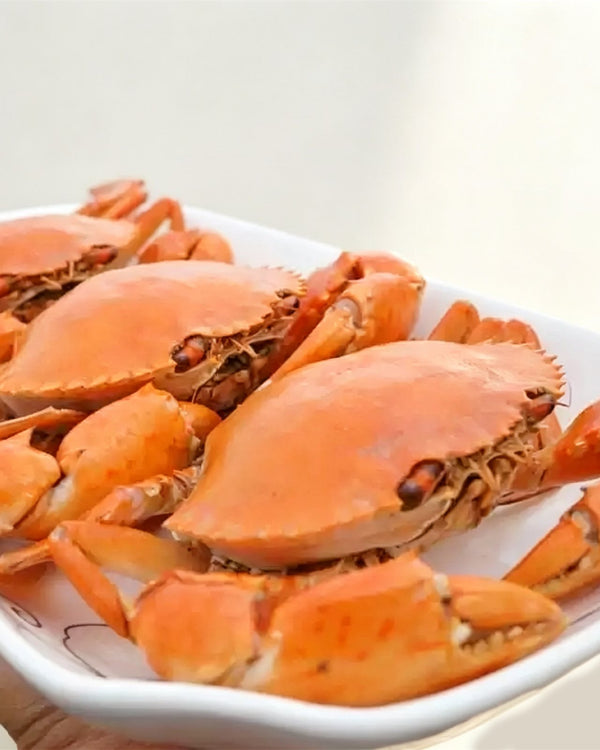 Frozen Raw Female Mud Crab