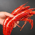 Frozen Wild Caught Scarlet Prawn