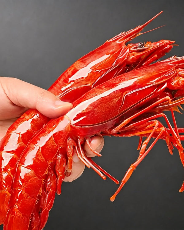 Frozen Wild Caught Scarlet Prawn