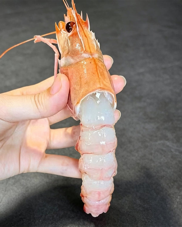 Wild Caught Scampi