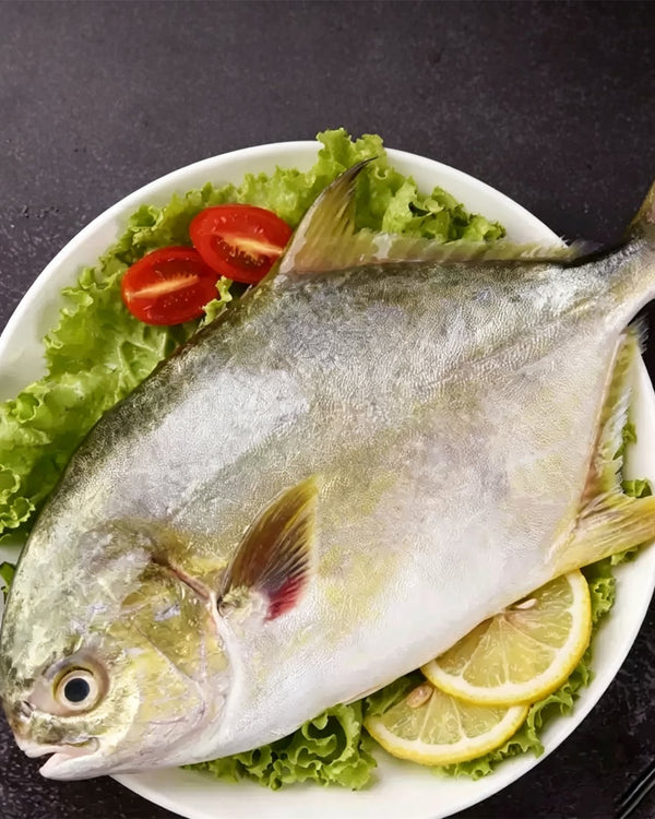 Frozen Whole Golden Pomfret